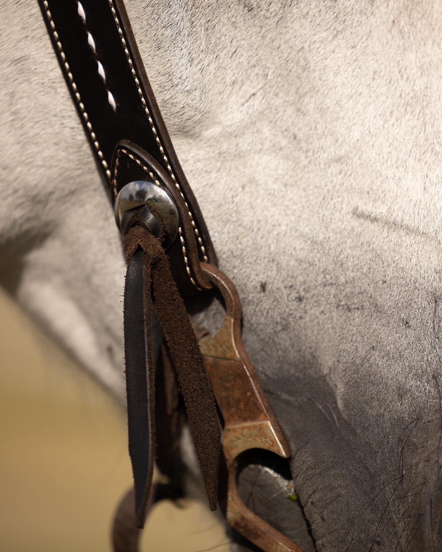 Buckstitched Split-ear Headstall